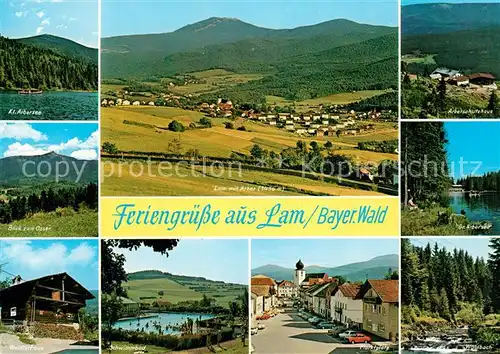 AK / Ansichtskarte Lam_Oberpfalz Kl Arbersee Panorama mit Arber Arbeiterschutzhaus Schwimmbad Hauptstrasse Wildbach Lam_Oberpfalz