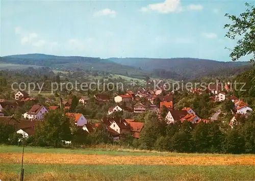 AK / Ansichtskarte Waldhilsbach Panorama Waldhilsbach