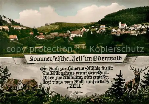 AK / Ansichtskarte Zell_Odenwald Panorama Zell Odenwald
