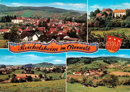 AK / Ansichtskarte Reichelsheim_Odenwald Panorama Schloss Teilansichten Reichelsheim Odenwald