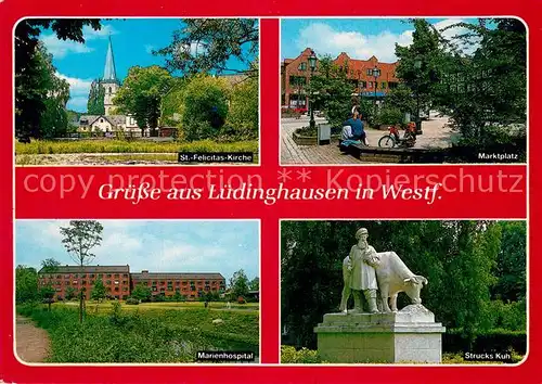 Luedinghausen St Felicitas Kirche Marktplatz Marienhospital Strucks Kuh Luedinghausen