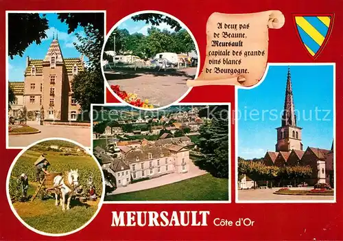 Meursault Hotel de Ville Le camping Scenes de vendanges vue aerienne Eglise Saint Nicolas Meursault