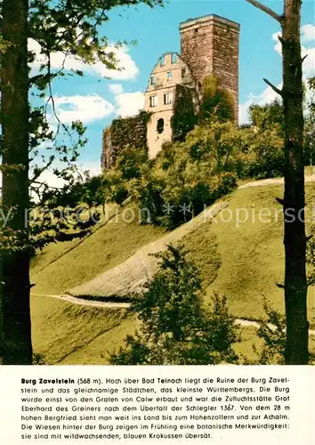 Bad_Teinach Zavelstein Burg Zavelstein Bad_Teinach Zavelstein