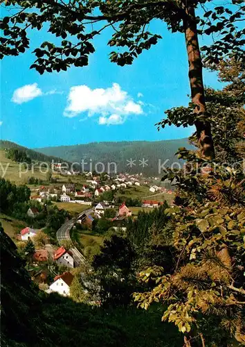 Warmensteinach Blick vom Hoellfelsen Warmensteinach