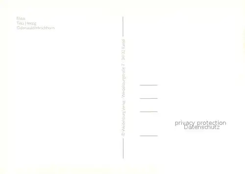 Hirschhorn_Neckar Stadtblick mit Schloss Hirschhorn Neckar