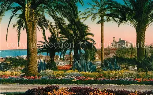 Cannes_Alpes Maritimes Mont Chevalier Cannes Alpes Maritimes