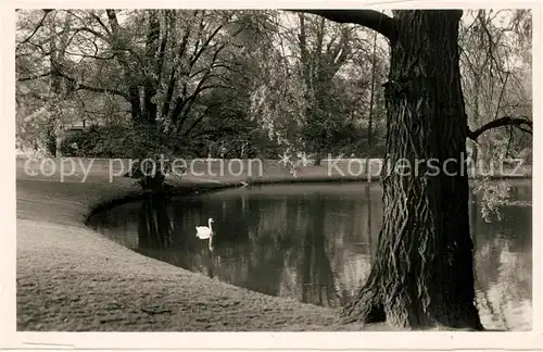 Duesseldorf Hofgarten Schwanenteich Duesseldorf