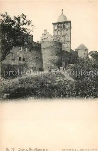 Luebeck Burgtormauer Stadtmauer Luebeck