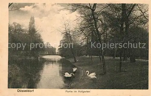 Duesseldorf Partie im Hofgarten Schwaene Duesseldorf