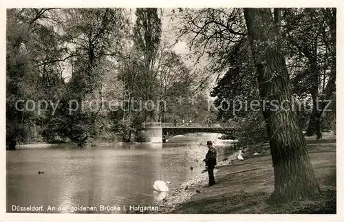 Duesseldorf Goldene Bruecke im Hofgarten Schwaene Duesseldorf