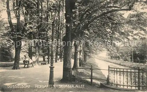 Duesseldorf Hofgarten Seufzer Allee Baumallee Duesseldorf