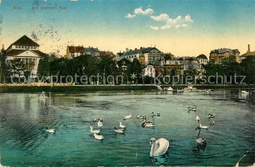 Kiel Partie am Kleinen Kiel Schwaene Kiel