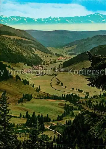 AK / Ansichtskarte Feldberg_Schwarzwald Menzenschwander Tal Feldberg Schwarzwald