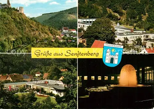 AK / Ansichtskarte Senftenberg_Niederoesterreich Institut Dr. Nuhr Senftenberg
