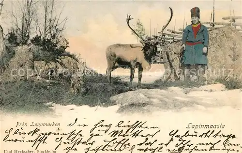 AK / Ansichtskarte Rentier Fran Lappmarken Lapinmaasta Rentier