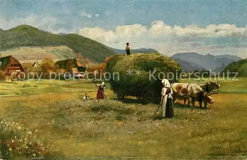 AK / Ansichtskarte Hoffmann_Heinrich Heuernte im Schwarzwald  Hoffmann Heinrich