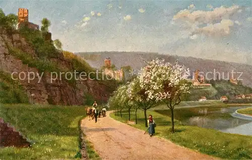 AK / Ansichtskarte Hoffmann_Heinrich Neckarsteinach Burgen Schwalbennest Hinterburg Mittelburg Vorderburg Hoffmann Heinrich