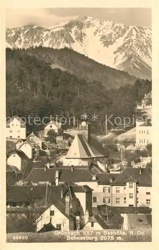 AK / Ansichtskarte Gruenbach_Muehlviertel mit Schneeberg Gruenbach Muehlviertel