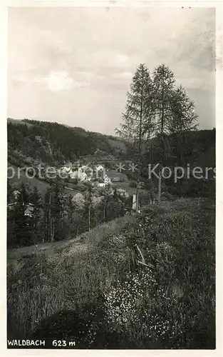 AK / Ansichtskarte Waldbach_Steiermark  Waldbach_Steiermark