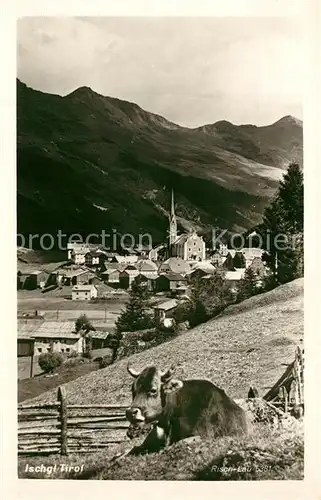 AK / Ansichtskarte Ischgl Kuh auf der Weide Ischgl