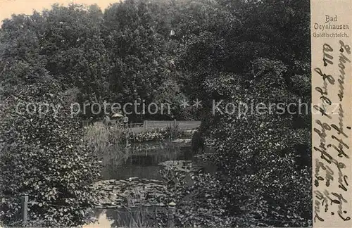 AK / Ansichtskarte Bad_Oeynhausen Goldfischteich Bad_Oeynhausen