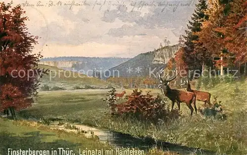 AK / Ansichtskarte Verlag_Wiedemann_WIRO_Nr. 1865 A Finsterbergen Thueringen Leinatal Hainfelsen  Verlag_Wiedemann_WIRO_Nr.