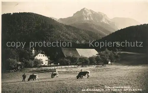 AK / Ansichtskarte Ebensee_Oberoesterreich Hoellengebirge Grossalm mit hohem Spielberg Kuehe Ebensee_Oberoesterreich