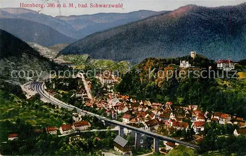 AK / Ansichtskarte Hornberg_Schwarzwald Panorama Hornberg Schwarzwald