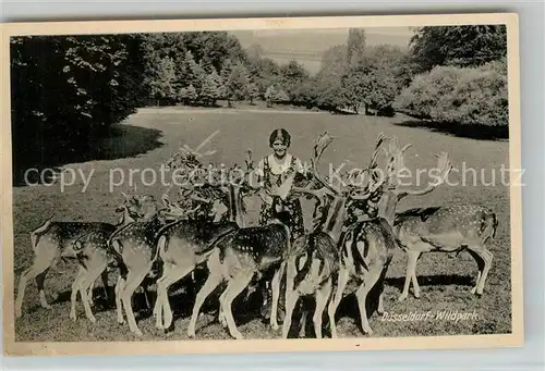 AK / Ansichtskarte Duesseldorf Wildpark Hirsche Duesseldorf