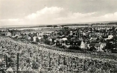 AK / Ansichtskarte Laubenheim_Rhein  Laubenheim Rhein