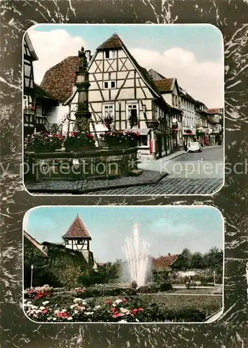 AK / Ansichtskarte Michelstadt Stadtgarten Michelstadt