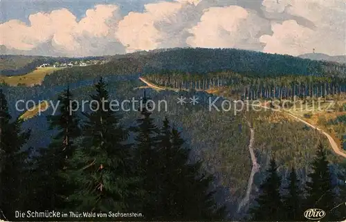 AK / Ansichtskarte Verlag_WIRO_Wiedemann_Nr. 3088 Schmuecke Thueringer Wald Schneekopf vom Sachsenstein Verlag_WIRO_Wiedemann_Nr.
