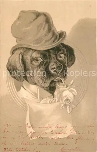 AK / Ansichtskarte Hunde Hut Rose Litho Hunde