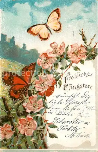 AK / Ansichtskarte Pfingsten_Pentecost_Pentecote Schmetterlinge Blumen Litho Pfingsten_Pentecost