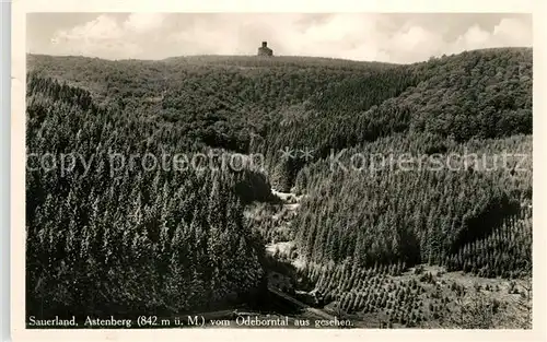 AK / Ansichtskarte Schmallenberg Landschaftspanorama Astenberg Blick vom Odeborntal Schmallenberg