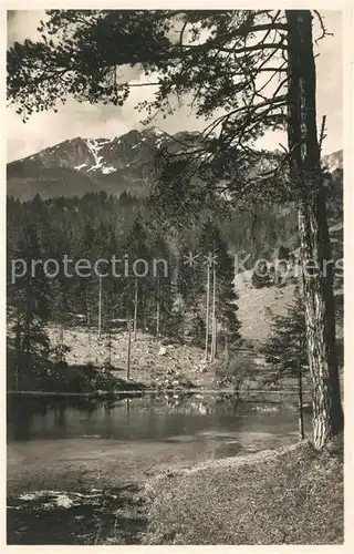 AK / Ansichtskarte Bad_Reichenhall Listsee gegen Zwiesel Bad_Reichenhall