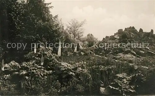 AK / Ansichtskarte Dahlem_Berlin Botanischer Garten Himalaya Gruppe Dahlem_Berlin