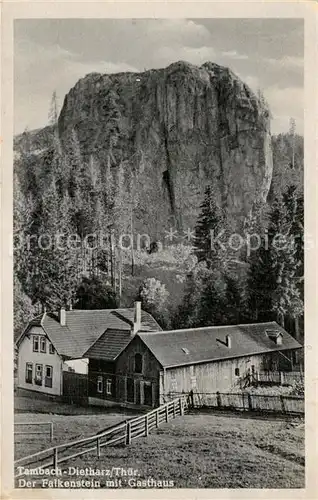 AK / Ansichtskarte Tambach Dietharz Falkenstein Felsen Gasthaus Tambach Dietharz