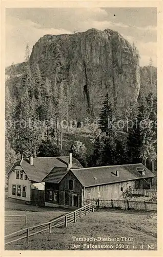AK / Ansichtskarte Tambach Dietharz Falkenstein Felsen Tambach Dietharz