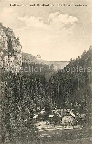 AK / Ansichtskarte Dietharz_Tambach Landschaftspanorama Falkenstein Felsen Gasthof Dietharz Tambach