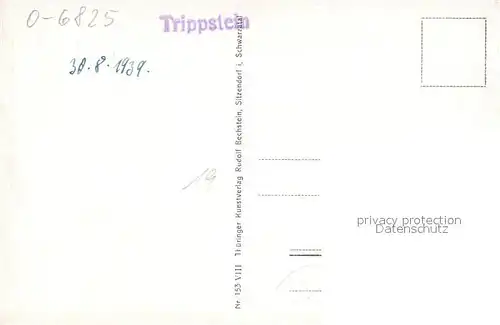 AK / Ansichtskarte Schwarzburg_Thueringer_Wald Blick vom Trippstein Schwarzburg_Thueringer