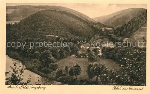 AK / Ansichtskarte Saalfeld_Saale Landschaftspanorama Gisratal Saalfeld_Saale