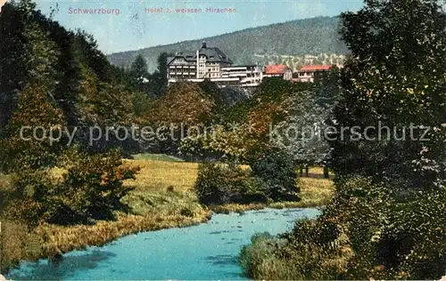 AK / Ansichtskarte Schwarzburg_Thueringer_Wald Partie an der Schwarza Blick zum Hotel Zum Weissen Hirsch Schwarzburg_Thueringer