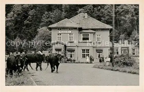 AK / Ansichtskarte Ilfeld_Suedharz Hotel Netzkater Viehtrieb Kuehe Ilfeld Suedharz