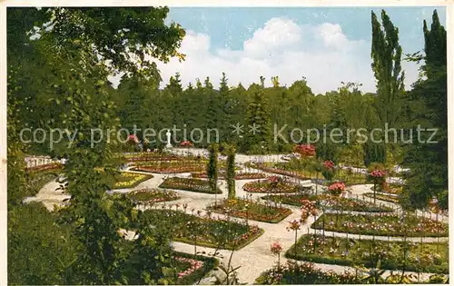 AK / Ansichtskarte Sangerhausen_Suedharz Rosarium Sangerhausen Suedharz