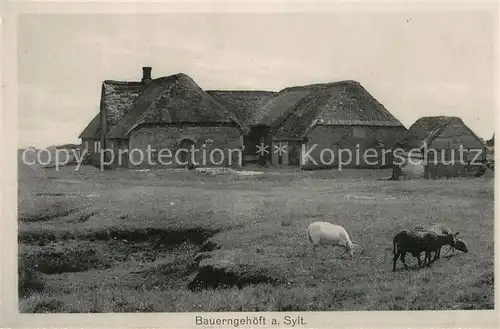 AK / Ansichtskarte Sylt Bauerngehoeft Sylt