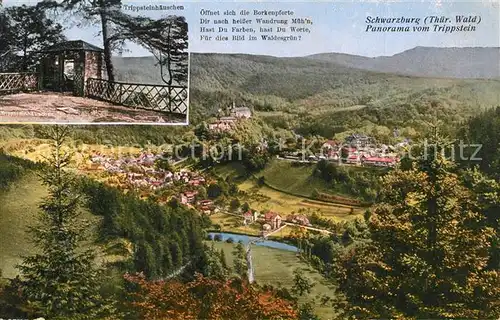 AK / Ansichtskarte Schwarzburg_Thueringer_Wald Panorama vom Trippstein mit Trippsteinhaeuschen Schwarzburg_Thueringer