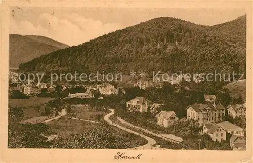 AK / Ansichtskarte Bad_Herrenalb Panorama Bad_Herrenalb