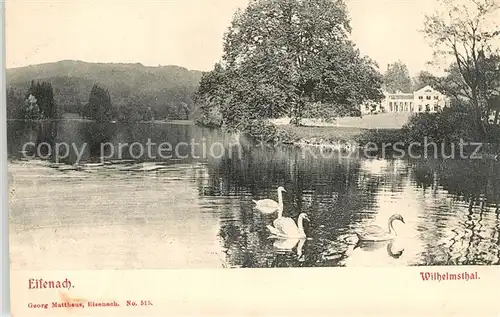 AK / Ansichtskarte Wilhelmsthal_Eisenach Partie am See Schwaene Wilhelmsthal_Eisenach