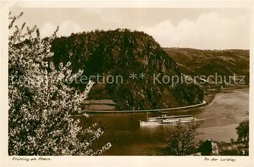 AK / Ansichtskarte Loreley_Lorelei Fruehling am Rhein Dampfer Loreley_Lorelei